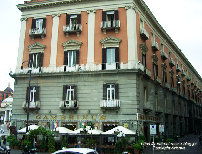 11.6.1.1. ガッレリアウンボルト一世  (6)