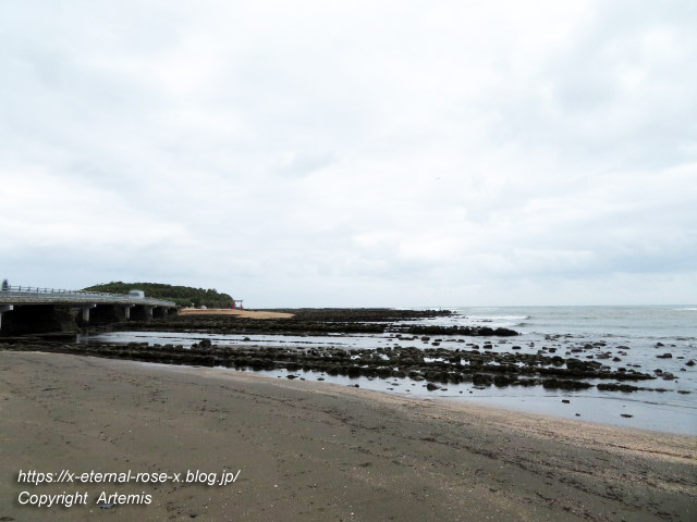 20.11.1.1 青島  (20)
