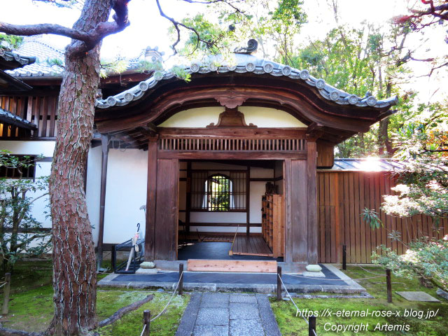 19.11.23.4 大雄院 (9)