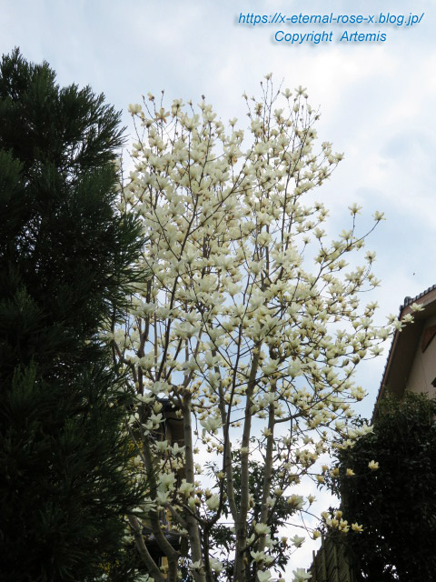 20.3.19.8. 檀林寺 (2)
