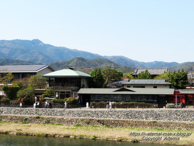 22.4.7 sonoka そばの実スイーツ  (1)