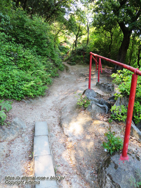 22.5.3.6 玉比咩神社  (42)