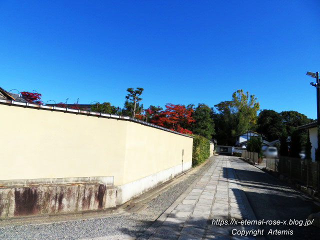 19.11.23.1妙心寺  (10)