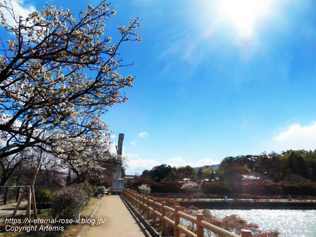 23.3.2.4 長岡天満宮 (26)
