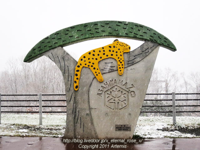 18.11.22.15 旭山動物園  (1)