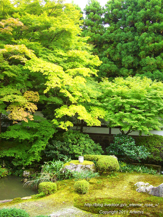 10.10.21.3 泉涌寺 (20)