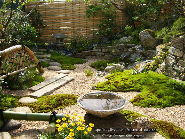 27 おかやま花だより  (41)