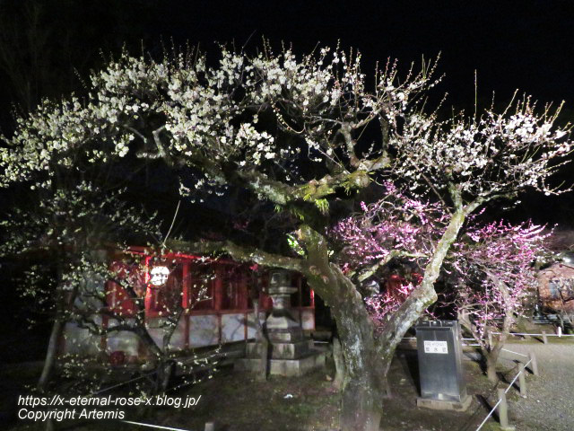 23.3.3. 北野天満宮 (124)