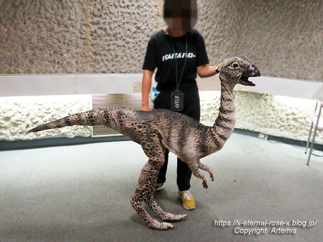 19.8.18.1 恐竜動物園 (156)