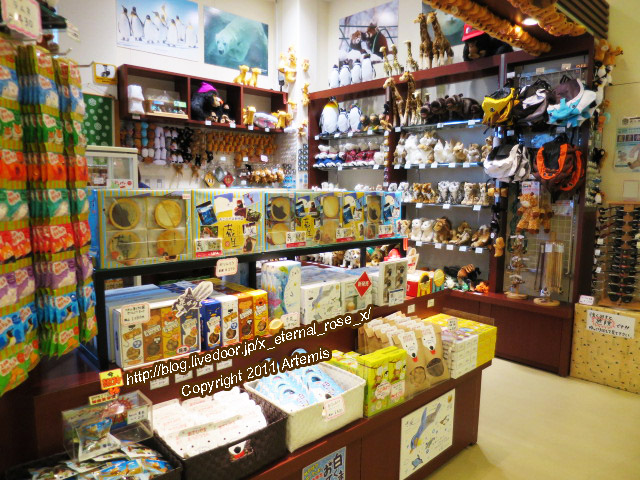 18.11.22.14 旭山動物園 (5)