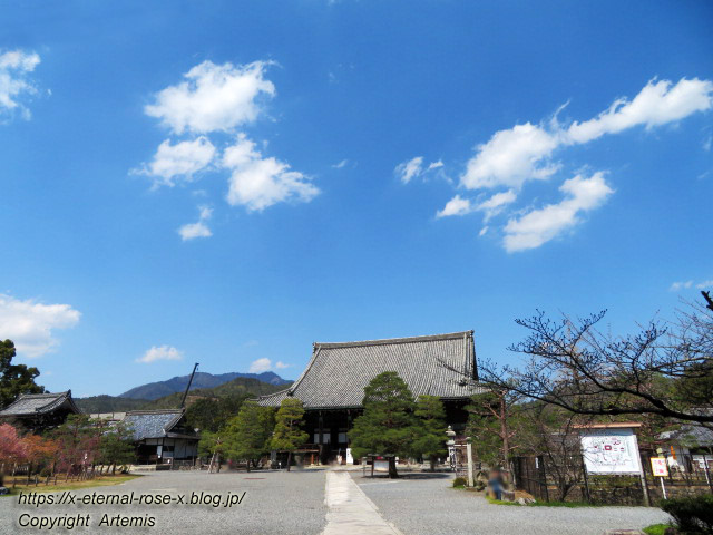 20.3.19.6 清涼寺 (2)