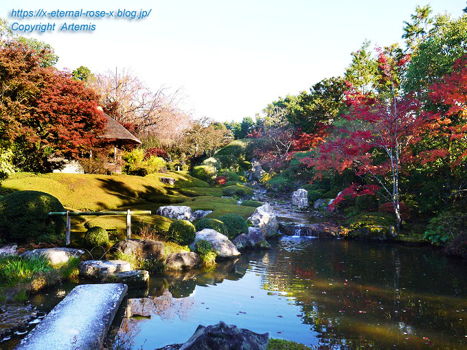 19.11.23.7 妙心寺 退蔵院  (123)
