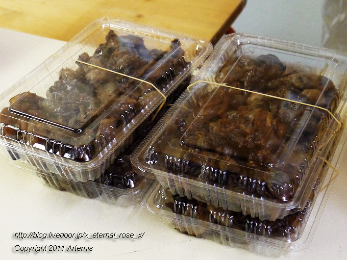 20.2.21. 三笠  (14)