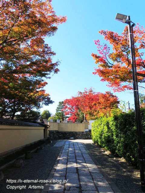 19.11.23.1妙心寺  (9)