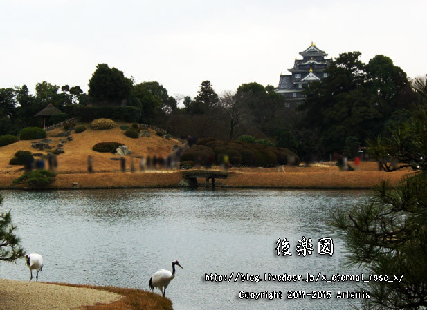 3 岡山城  (89)