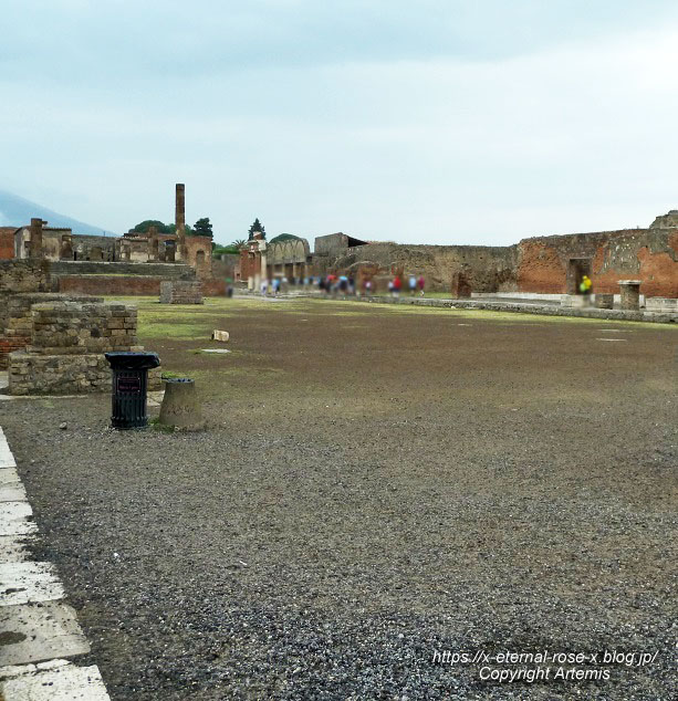 11.6.1.5... ポンペイ遺跡 バジリカ (28)