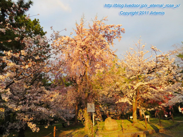 20.3.29.9 円山公園