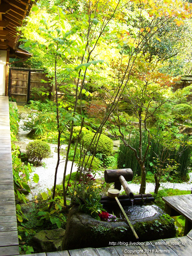 10.10.18.5 宝泉院  (5)