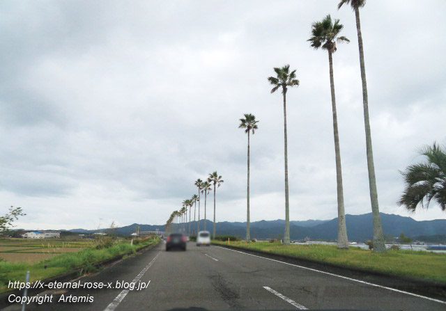 20.11.1.1 青島  (2)