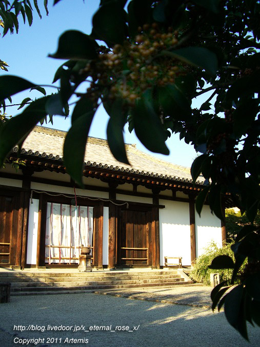 10.10.17.5 新薬師寺 (9)