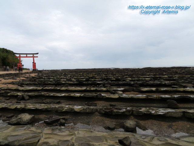 20.11.1.2 青島  (39)