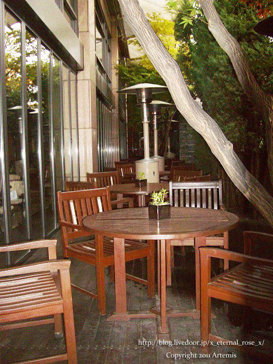 9.11.13 リッツ朝  (2)