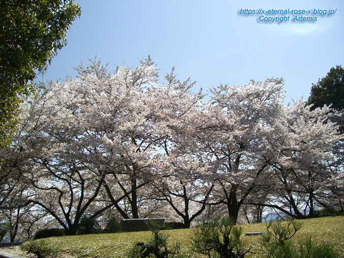 11.4.14.1 半田山植物園  (95)