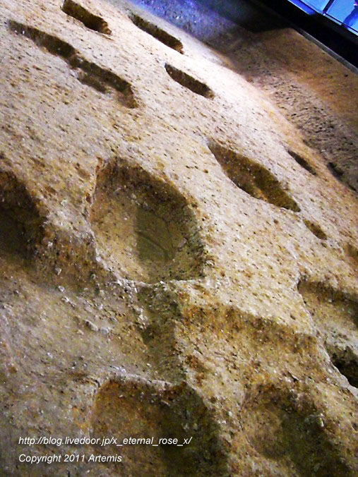 10.10.23.3 平城宮跡遺構展示館  (4)