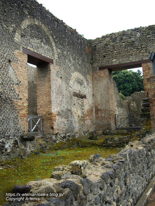 11.6.1.9. ポンペイ遺跡 円形劇場 (145)