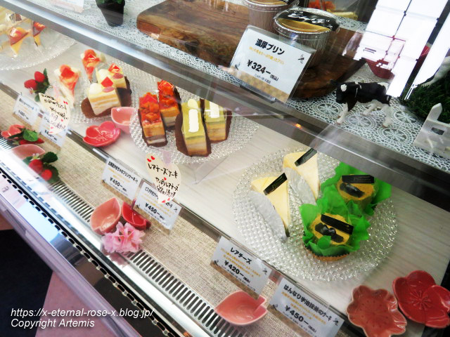 23.3.2.1 甘味とんぼ  (22)