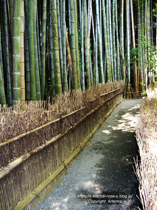 09.4.11.5. 祇王寺  (9)