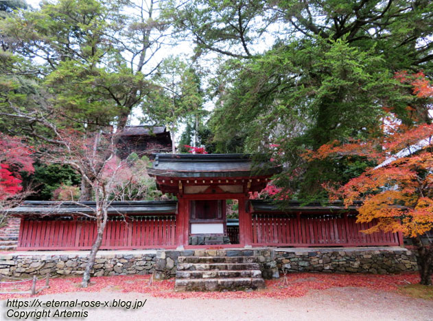 19.11.27 高雄 神護寺 (60)