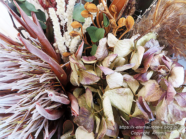 22.1.5 カフェッタ  (10)