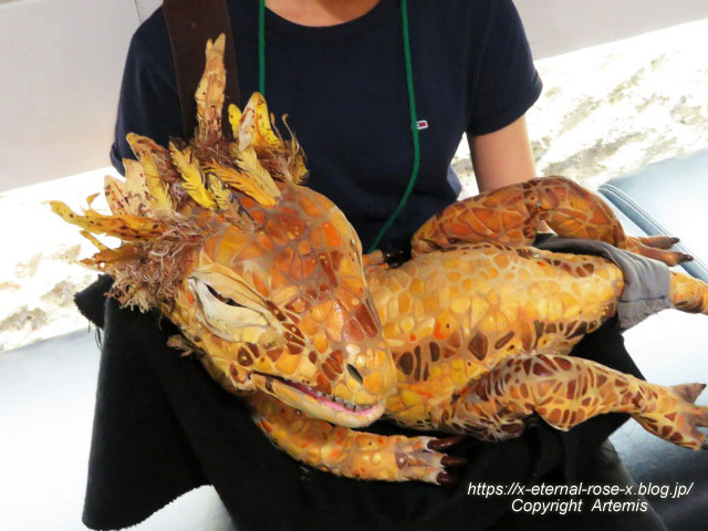 19.8.18.1 恐竜動物園 (139)