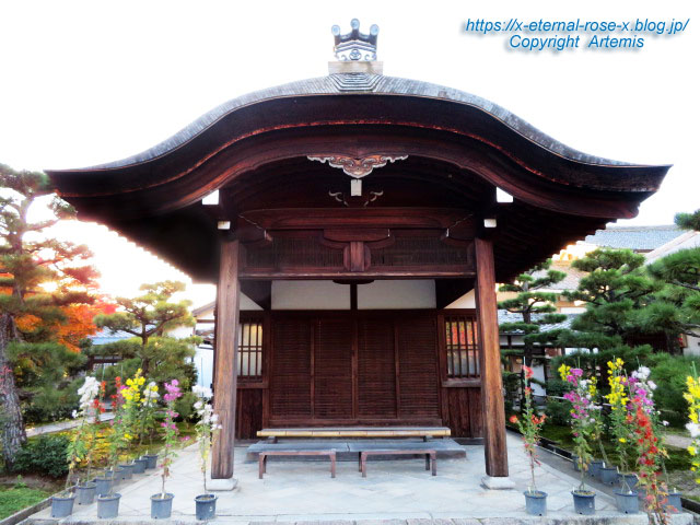 19.11.23.9 法金剛院 (83)