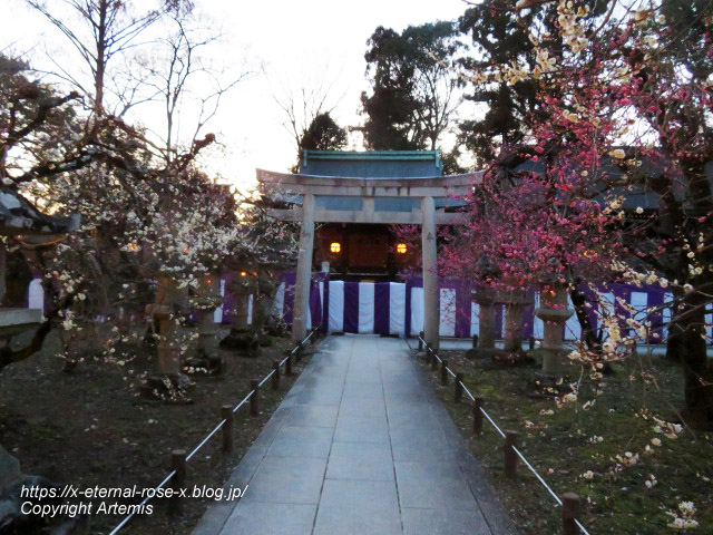23.3. 北野天満宮 (22)