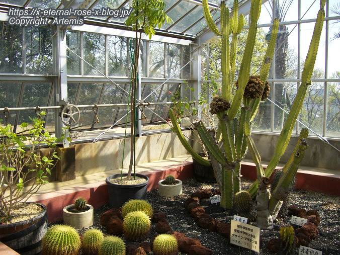 11.4.14.1 半田山植物園  (131)