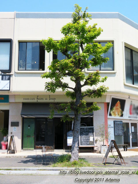 20.4.30 ファンデル (2)