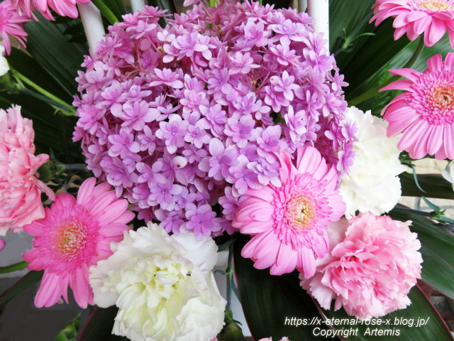 牛角 岡山平井店 焼肉ランチ Eternal Rose エターナルローズ