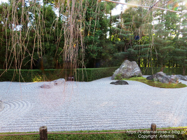 19.11.23.7 妙心寺 退蔵院  (48)