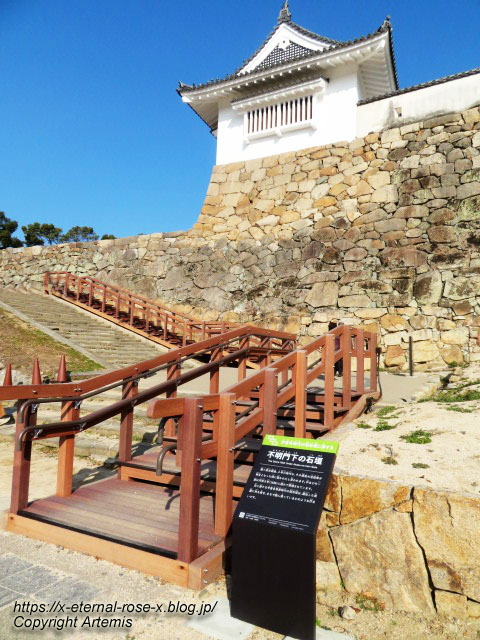 23.1.1.1 岡山城  (37)