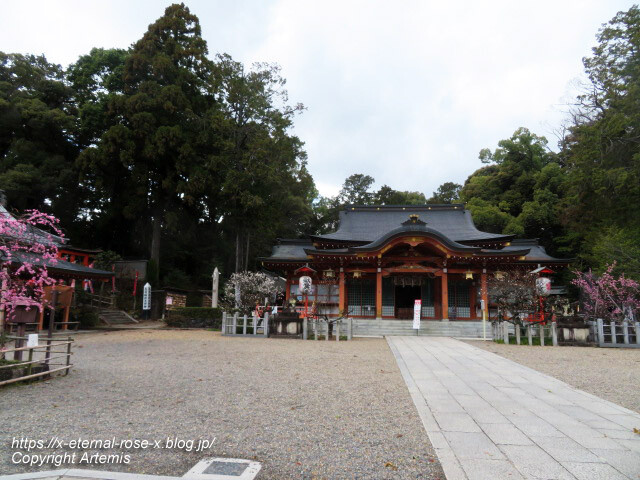 23.3.2.1  長岡天満宮  (32)