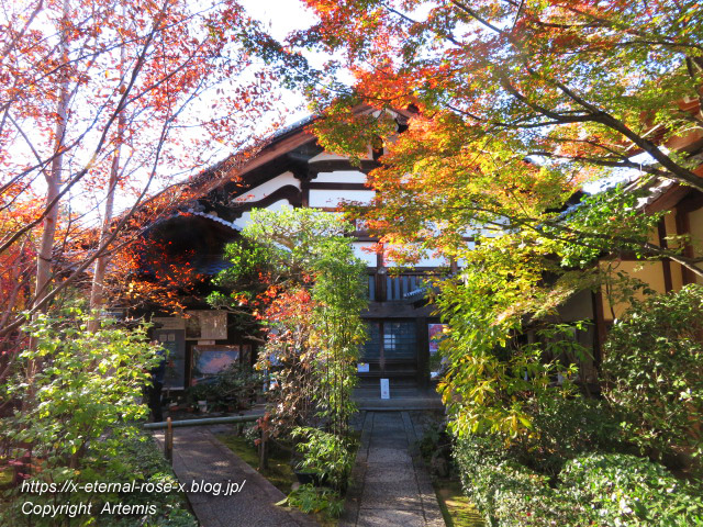 19.11.23.7 妙心寺 退蔵院  (7)
