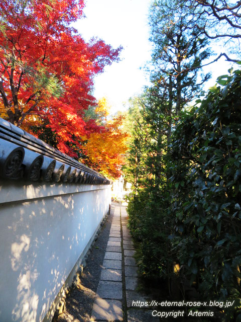 19.11.23.7 妙心寺 退蔵院  (92)