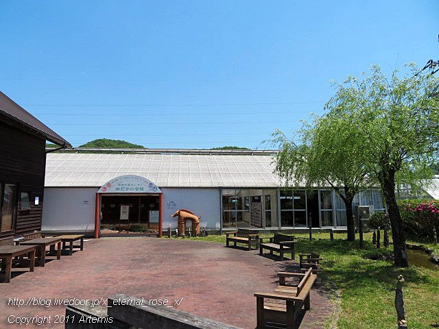 19.5.11.2 めだかの学校  (6)