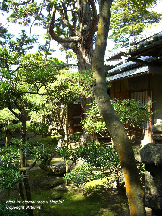 11.5.5.3 旧野﨑家住宅 野﨑家塩業歴史館 (31)