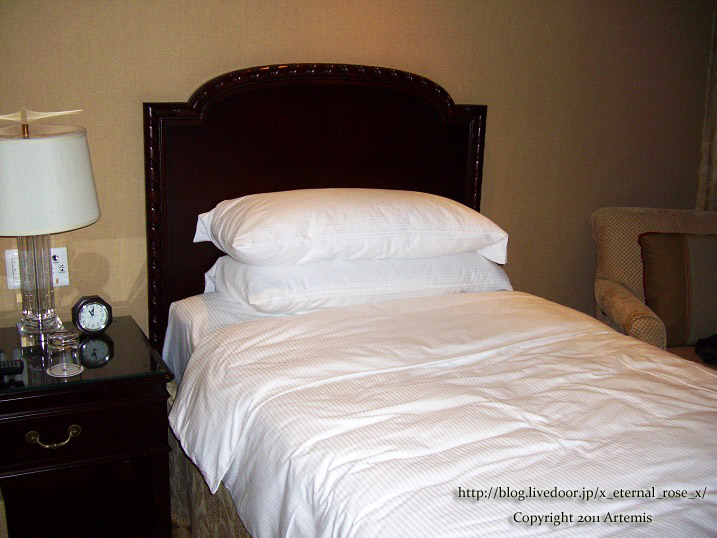 9.11.12.10 リッツカールトン  (11)