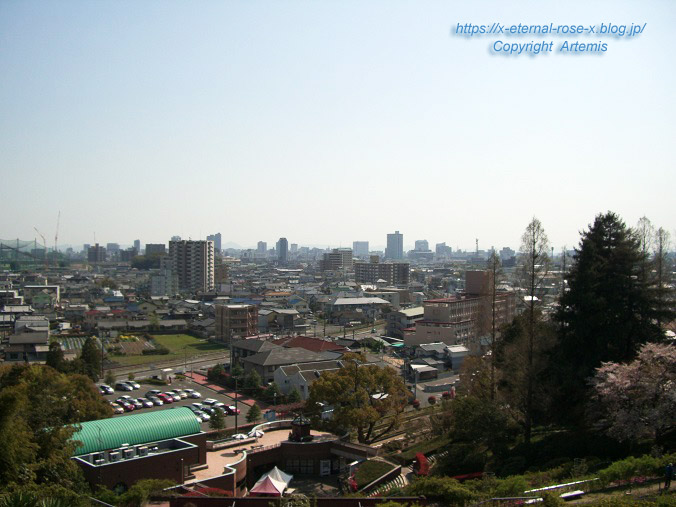 11.4.14.1 半田山植物園  (136)