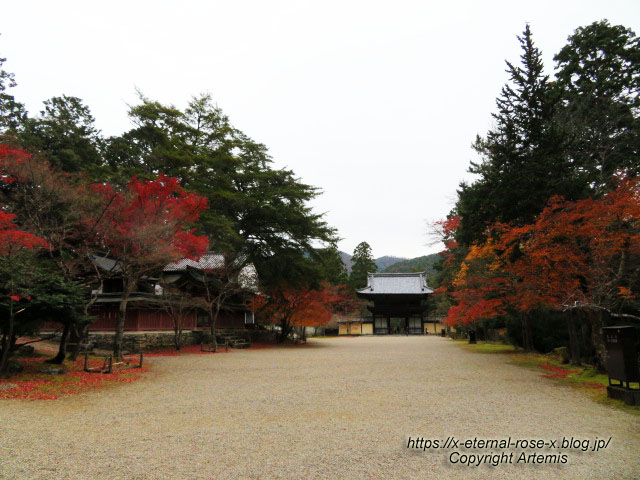 19.11.27 高雄 神護寺 (64)