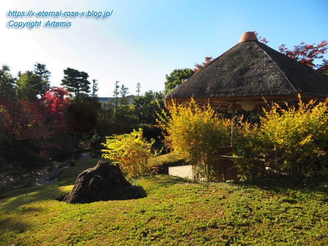 19.11.23.7 妙心寺 退蔵院  (54)